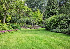 Optimiser l'expérience du jardin à Chonville-Malaumont
